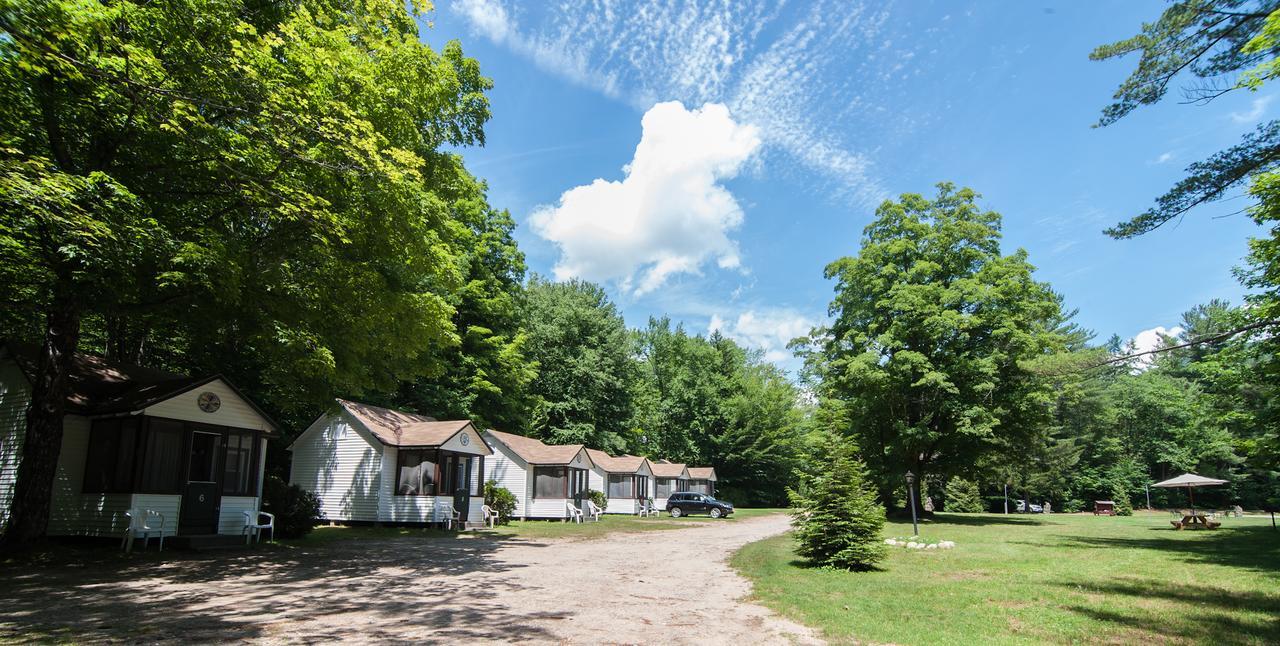 Profile Motel & Cottages Lincoln Bagian luar foto